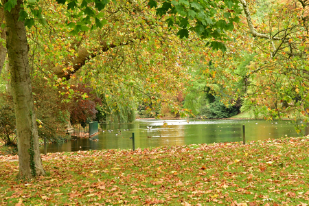 Poissy, France - october 29 2017 : the Meissonier park in autumnのeditorial素材