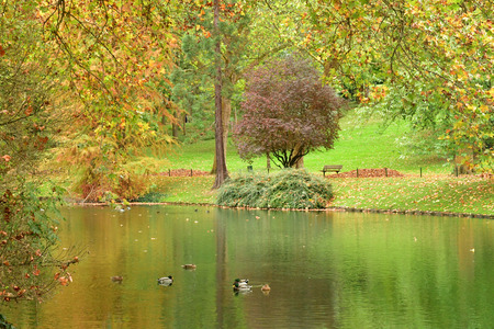 Poissy, France - october 29 2017 : the Meissonier park in autumnのeditorial素材