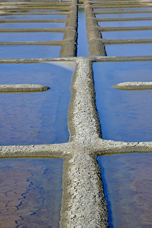 Guerande, France - april 14 2017 : landscape of the salt marshesのeditorial素材