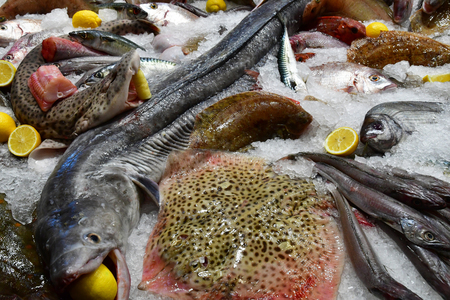 Paris; France - february 24 2019 : Normandie fish at the Paris International agricultural show, the...