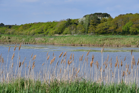 Mesquer, France - april 14 2017 : pondのeditorial素材
