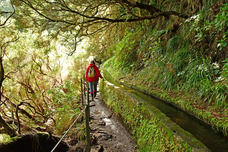 Risco; Madeira; Portugal - february 24 2018 : the 25 fountains levada walk
