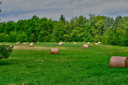 Autheuil Authouillet; France - august 8 2018 : bales of straw in a meadowのeditorial素材