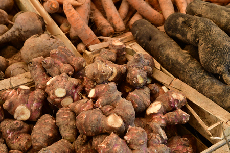 root vegetable at the farmhouse marketの写真素材