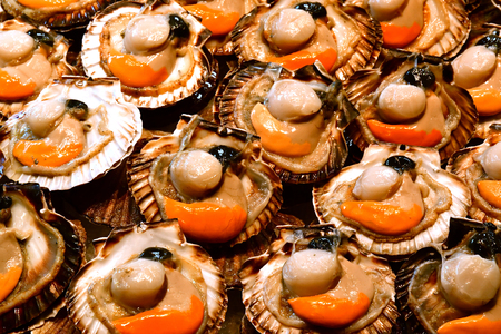 scallops at the market