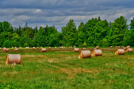 Autheuil Authouillet; France - august 8 2018 : bales of straw in a meadowのeditorial素材