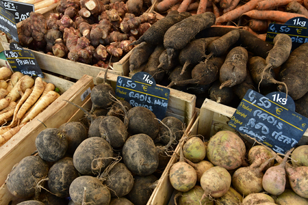 Rambouillet; France - november 11 2017 : root vegetable at the farmhouse marketのeditorial素材