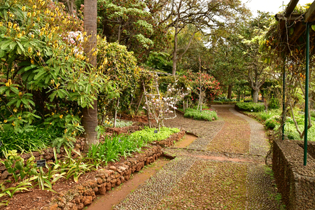 Funchal, Portugal - february 22 2018 : the botanical gardenのeditorial素材