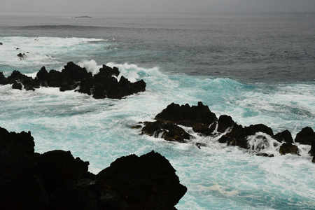 Porto moniz, Madeira, Portugal - february 25 2018 : natural pool in volcanic rockのeditorial素材