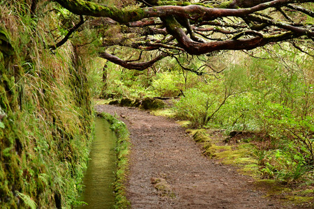 Risco; Madeira; Portugal - february 24 2018 : the 25 fountains levada walkのeditorial素材