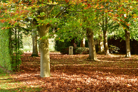 Vascoeuil, France - november 1 2017 : the castle parkのeditorial素材