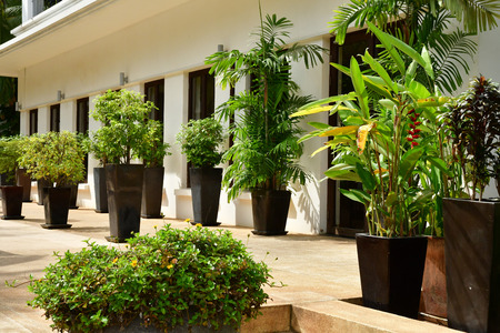 Siem Reap; Kingdom of Cambodia - august 23 2018 : hotel on the national road 6のeditorial素材