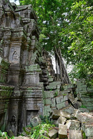 Siem Reap; Kingdom of Cambodia - august 24 2018 : the Ta Prohm templeのeditorial素材