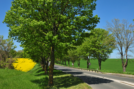 Marines, France - may 4 2018 : landscapeのeditorial素材
