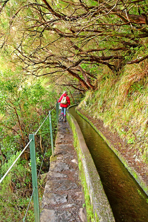 Risco; Madeira; Portugal - february 24 2018 : the 25 fountains levada walkのeditorial素材