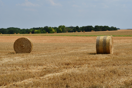 Wy dit joli village , France - july 27 2018 : bales of straw in a fieldのeditorial素材