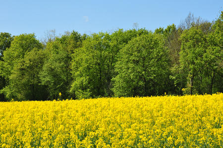 Marines, France - may 4 2018 : landscapeのeditorial素材