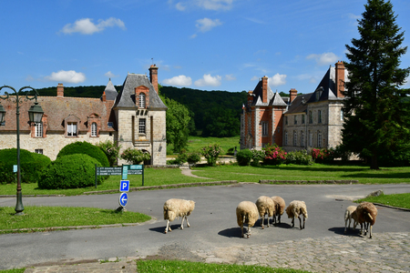 Janville sur Juine; France - june 3 2018 : the Gillevoisin castleのeditorial素材