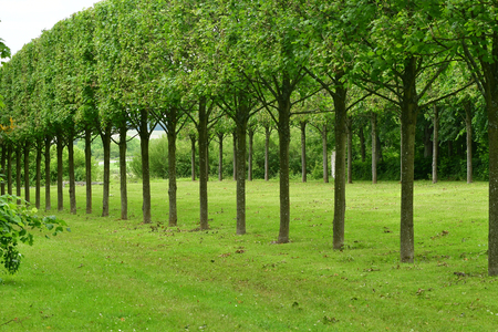 Villarceaux, France - june 9 2019 : the historical castle parkのeditorial素材