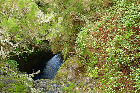 Risco; Madeira; Portugal - february 24 2018 : the 25 fountains levada walkのeditorial素材
