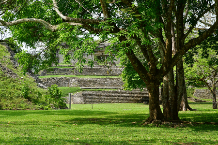 Palenque, Chiapas, United Mexican States - may 17 2018 : the pre Columbian Maya site Palenqueのeditorial素材