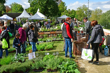 Les Mureaux; France - september 16 2017 : Fleurs en Seine, flower exhibitionのeditorial素材