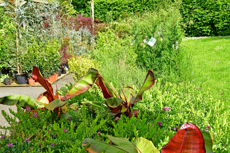 Saint Cyr l Ecole; France - june 16 2019 : garden centerのeditorial素材