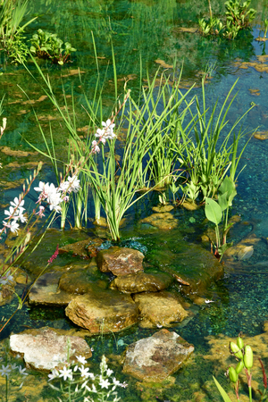 Chaumont sur Loire; France - june 29 2019: the festival international des jardinsのeditorial素材