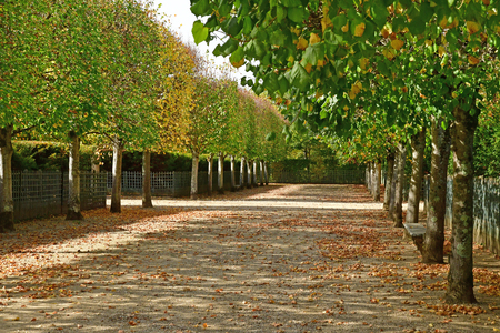 Versailles; France - october 14 2018 : park of the Grand Trianon in the Marie Antoinette estate in the parc of Versailles Palaceのeditorial素材