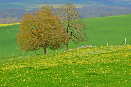 La Roche Guyon, France - april 16 2019 : landscape in springのeditorial素材