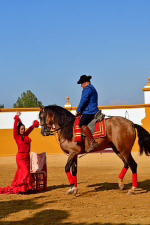 Sevilla; Isla Minima, Spain - august 26 2019 : a horse show in the hacienda near the guadalquivir riverのeditorial素材