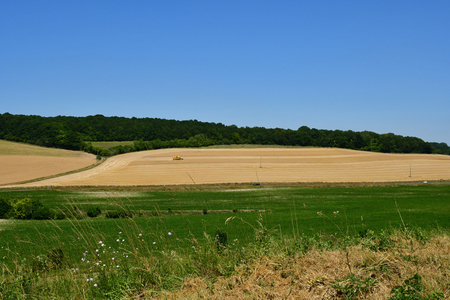 Harquency; France - july 2 2019 : wheat fieldのeditorial素材