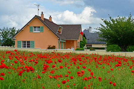 Fleury sur Andelle, France - june 6 2019 : field of poppiesのeditorial素材