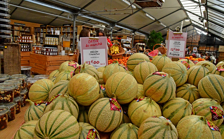Saint Cyr l Ecole; France - june 16 2019 : melon in a garden centerのeditorial素材