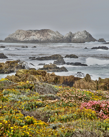 Carmel by the sea; USA - july 14 2016 : ocean near the 17 mile drive landscapeのeditorial素材
