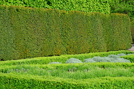 London; Kew, England - may 5 2019 : the Kew Palace in the Kew Royal Botanic Gardensのeditorial素材