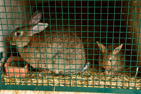 Jouy le Moutier; France - september 4 2019 : the Ecancourt Farmのeditorial素材