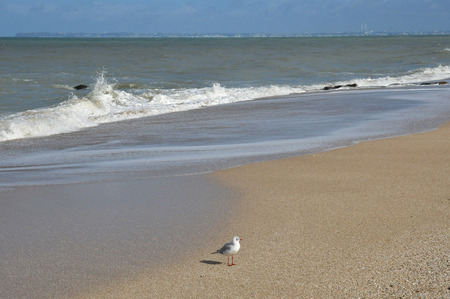 Blonville sur Mer, France - september 27 2019 : the beachのeditorial素材
