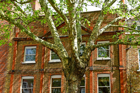 London; Hampstead, England - may 5 2019 : the Hampstead districtのeditorial素材