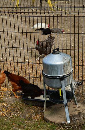 Jouy le Moutier; France - september 4 2019 : the Ecancourt Farmのeditorial素材