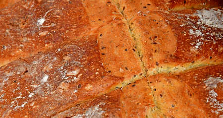 Saint Cyr l Ecole; France - june 16 2019 : country bread in a garden centerのeditorial素材