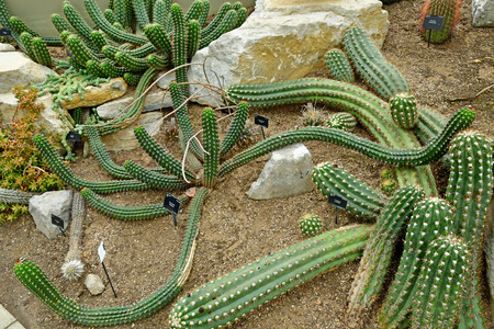 London; Kew, England - may 5 2019 : Princess of Wales Conservatory in the Kew Royal Botanic Gardensのeditorial素材