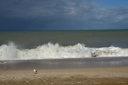 Blonville sur Mer, France - september 27 2019 : the beachのeditorial素材