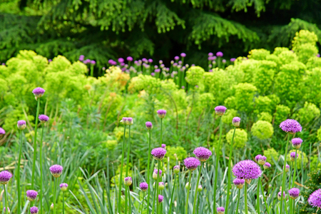London; Kew, England - may 5 2019 : the Kew Royal Botanic Gardensのeditorial素材