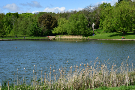London; Hampstead, England - may 5 2019 : pond in the Hampstead Heath parkのeditorial素材