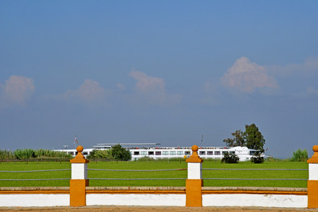 Sevilla; Isla Minima, Spain - august 26 2019 : an house near the guadalquivir riverのeditorial素材