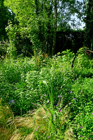 Chaumont sur Loire; France - june 29 2019: the festival international des jardinsのeditorial素材