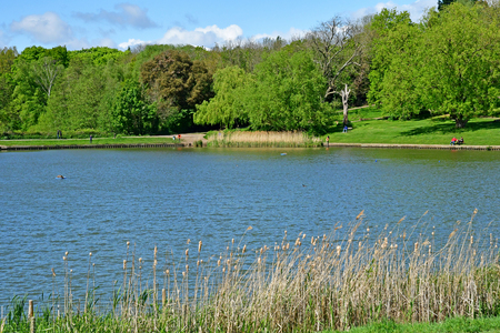 London; Hampstead, England - may 5 2019 : pond in the Hampstead Heath parkのeditorial素材