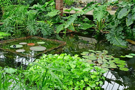 London; Kew, England - may 5 2019 : Princess of Wales Conservatory in the Kew Royal Botanic Gardensのeditorial素材