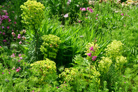 Themericourt; France - may 24 2019 : the castle parkのeditorial素材